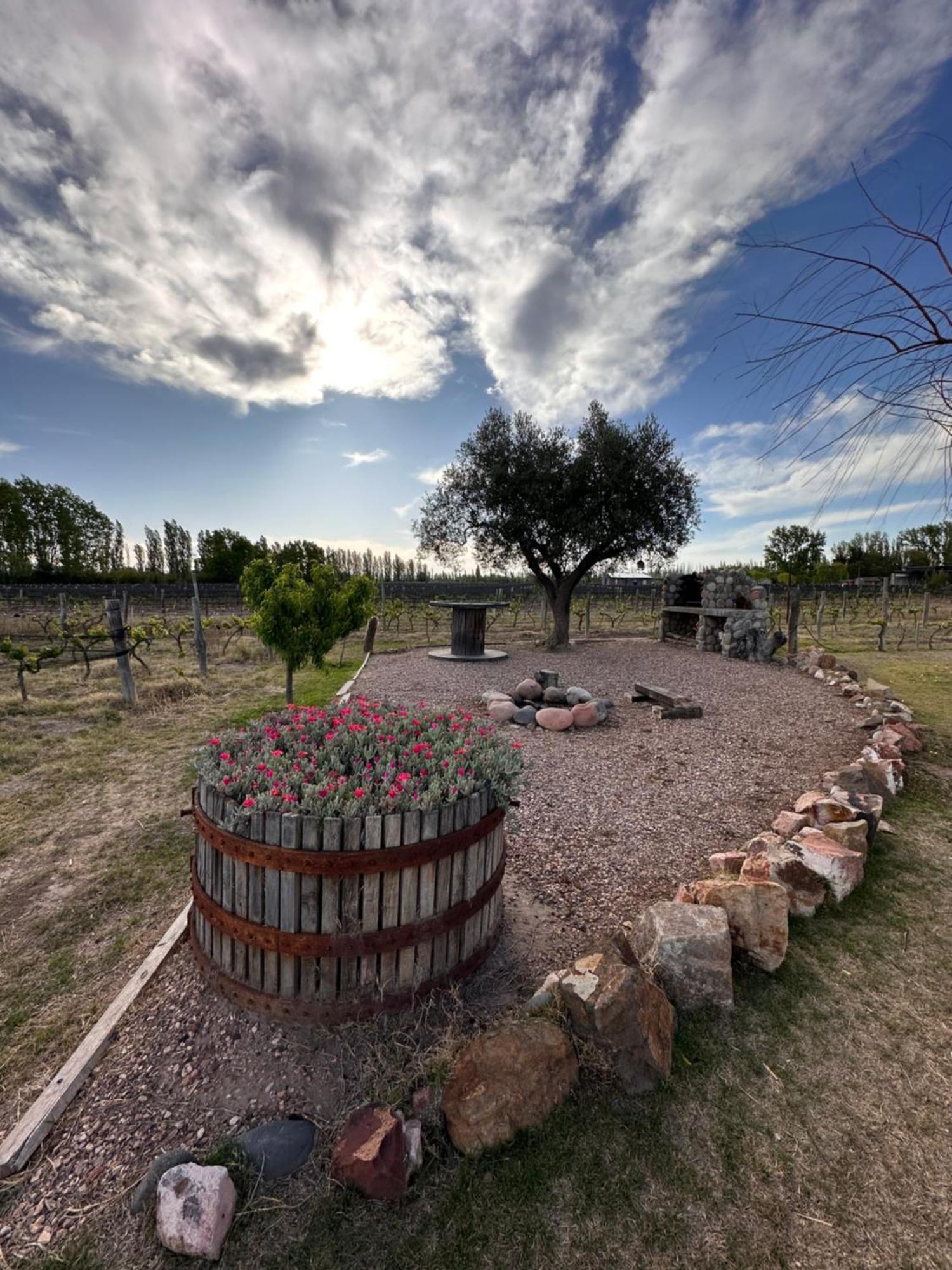 Casa Entre Vinas * San Rafael (Mendoza)